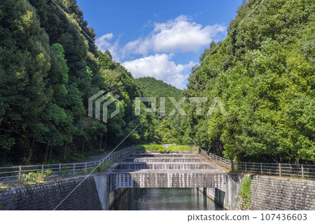 石山寺月見橋週邊 石山寺月見橋週邊 107436603