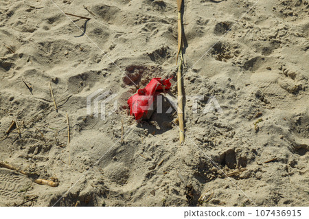 Pollution of the water body with plastic waste and garbage Pollution of the water body with plastic waste and garbage 107436915