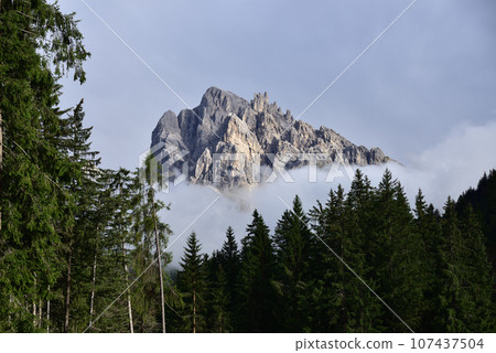 Peak on the forest Peak on the forest 107437504