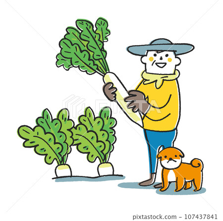 農民或家庭園丁拿著一個華麗的蘿蔔並抬頭看著他的插圖材料 107437841