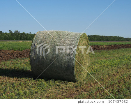 Summer landscape with mown hay packed in rolls. Rural landscape, beautiful place, concept of agrotourism. Summer landscape with mown hay packed in rolls. Rural landscape, beautiful place, concept of agrotourism. 107437982