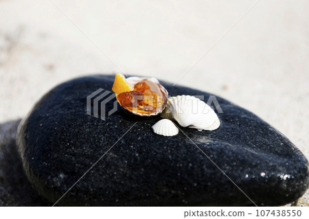 Amber nuggets, and shells on a stand on a natural background. Amber found on a beach on the Baltic Sea coast. 107438550