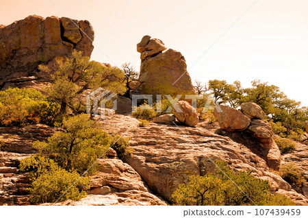 Chiricahua National Monument Arizona Chiricahua National Monument Arizona 107439459