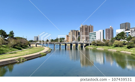 The townscape around Tonobashi, where the clear blue autumn sky and the greenery of the riverbed shine (Otsugawa River Green Space/Okazaki City, Aichi Prefecture) 107439531
