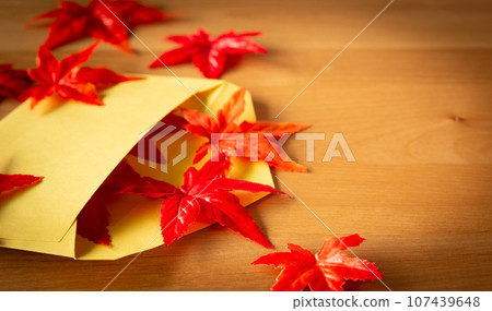秋天的落葉和信封 秋天的新聞 107439648