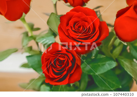 Bouquet of red rose flowers with green leaves on a wooden background, close up Bouquet of red rose flowers with green leaves on a wooden background, close up 107440310