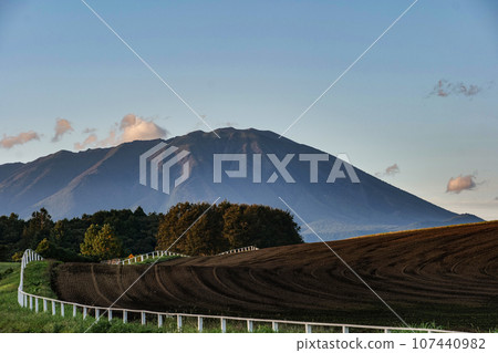 Autumn sunset at Koiwai Farm in Iwate Prefecture. Mt. Iwate and the white fence of the farm with madder clouds floating in the Koiwai Farm. Autumn sunset at Koiwai Farm in Iwate Prefecture. Mt. Iwate and the white fence of the farm with madder clouds floating in the Koiwai Farm. 107440982