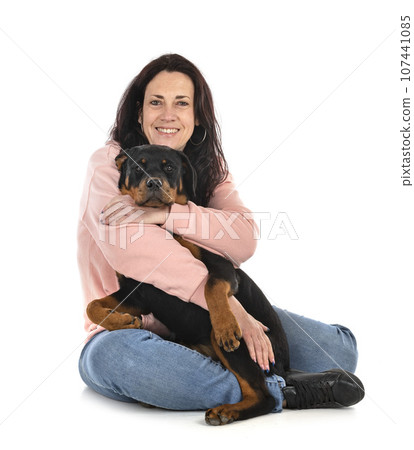 puppy rottweiler and woman in studio puppy rottweiler and woman in studio 107441085