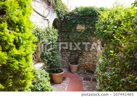 法國埃茲村的小巷風光 107441465