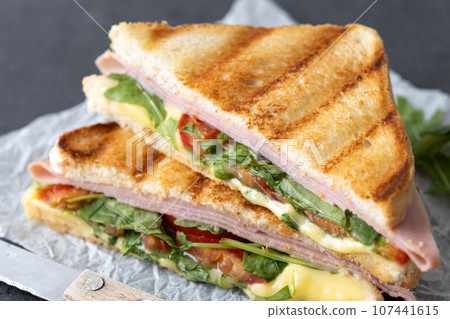 Panini sandwich with ham, cheese, tomato and arugula on black slate background 107441615