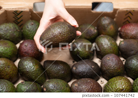 woman's hand holding an avocado 107441742
