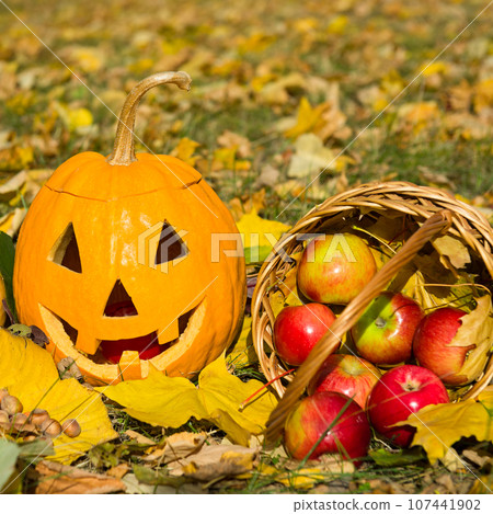 Pumpkin - head and basket with apples on a background of yellow leaves. Pumpkin - head and basket with apples on a background of yellow leaves. 107441902