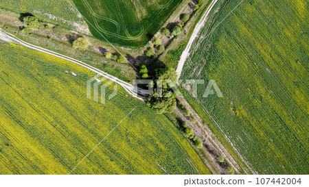 Dirt road along the abandoned melioration canal. Agricultural land, aerial view. 107442004