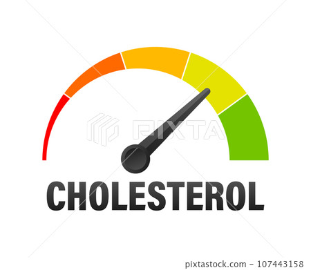 Cholesterol Level Meter, measuring scale. Cholesterol speedometer indicator. Vector stock illustration 107443158