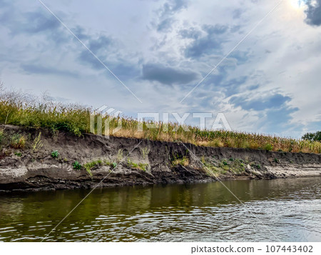 Bad farming practice of planting row crops to the edge of a waterway. Bad farming practice of planting row crops to the edge of a waterway. 107443402