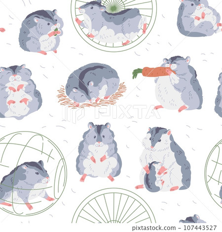 Seamless pattern with cute gray hamster with white belly gnaws carrot or seed, runs in wheel, sleeps, fluffy pet vector Seamless pattern with cute gray hamster with white belly gnaws carrot or seed, runs in wheel, sleeps, fluffy pet vector 107443527