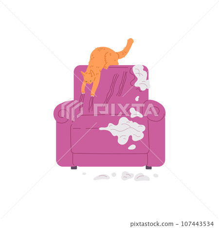 Pet mess, disorder and destruction by naughty cat, damaged and scratched armchair, vector cartoon bad feline behavior 107443534