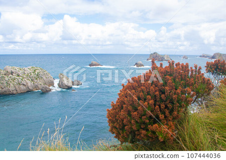 Landscape of costa quebrada in Cantabria 107444036