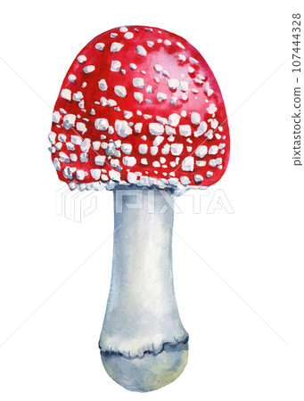 Autumn watercolor mushroom. Watercolor hand painted forest element for design Autumn watercolor mushroom. Watercolor hand painted forest element for design 107444328