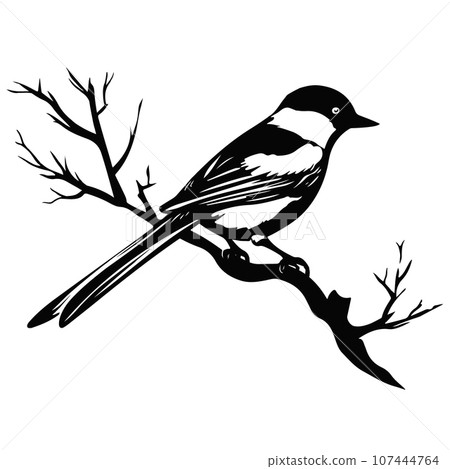 Bird on a branch. Bird on a branch. 107444764