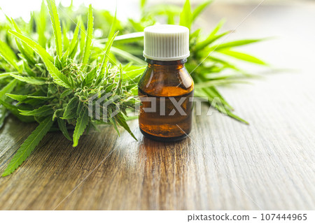 Marijuana buds. Cannabis plant and oil in glass bottle. Marijuana buds. Cannabis plant and oil in glass bottle. 107444965