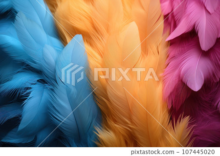 Brightl multi-colored feathers 107445020
