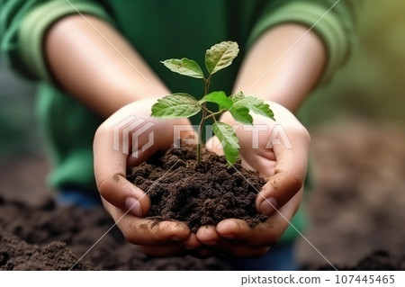 Close up focus on plant in male hands, eco-friendly company growth, bio agriculture development concept. Close up focus on plant in male hands, eco-friendly company growth, bio agriculture development concept. 107445465