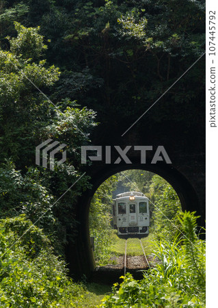 日南線特快列車「海雪山幸」在宮崎縣日南市綠意盎然的山間隧道中行駛。 107445792