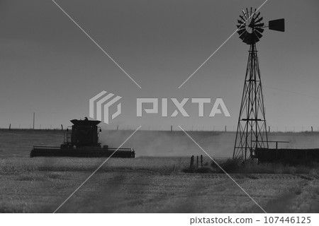 Harvester machine, harvesting in the Argentine countryside, Buenos Aires province, Argentina. 107446125