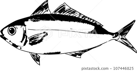 竹莢魚的魚印刷插圖 竹莢魚的魚印刷插圖 107446825