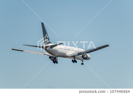 [ANA Star Alliance aircraft preparing to land from above Jonanjima Seaside Park, rear view] 107446884