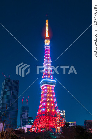 從芝公園看到的夜景“東京”燈火通明的東京塔 107446895