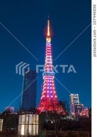 從芝公園看到的夜景“東京”燈火通明的東京塔 107446898