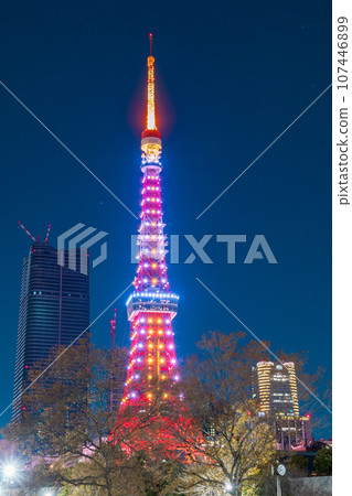 從芝公園看到的夜景“東京”燈火通明的東京塔 107446899