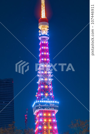 從芝公園看到的夜景“東京”燈火通明的東京塔 從芝公園看到的夜景“東京”燈火通明的東京塔 107446911