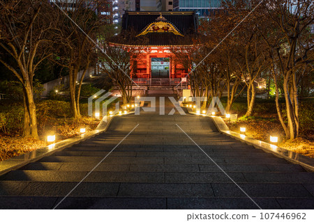 Former Taitoku-in Mausoleum Somon in the precincts of Zojoji Temple in Tokyo Former Taitoku-in Mausoleum Somon in the precincts of Zojoji Temple in Tokyo 107446962