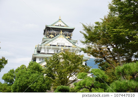 Osaka tourist attraction Osaka Castle Osaka tourist attraction Osaka Castle 107447010
