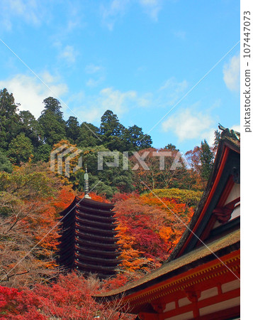 Daisyama Shrine Ten-storied塔秋葉 Daisyama Shrine Ten-storied塔秋葉 107447073