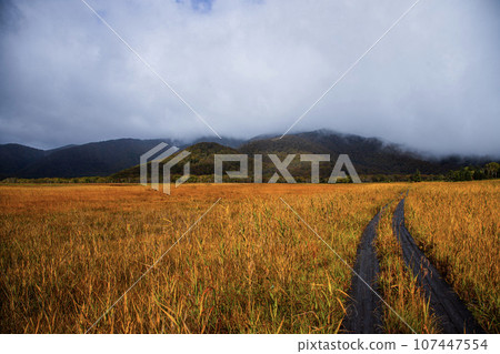 一座被秋葉和晨霧覆蓋的山 一座被秋葉和晨霧覆蓋的山 107447554