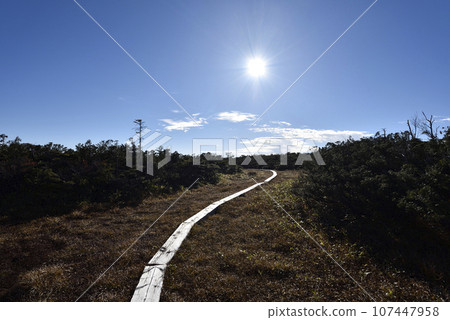Climbing from Mt. Taishaku to Mt. Tashiro, Fukushima Prefecture Climbing from Mt. Taishaku to Mt. Tashiro, Fukushima Prefecture 107447958
