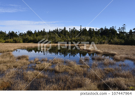 從福島縣大石山登山到田代山 從福島縣大石山登山到田代山 107447964