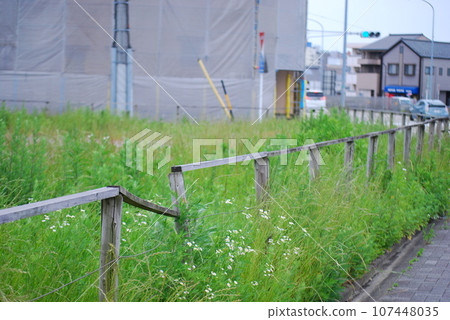 Open space 107448035