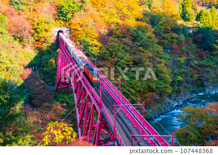 Kurobe Gorge in Autumn: Torokko Train Running on Shinyamabiko Bridge 107448368