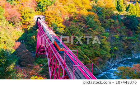 Kurobe Gorge in Autumn: Torokko Train Running on Shinyamabiko Bridge 107448370