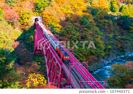 秋天的黑部峽谷：新山彥橋上行駛的小火車 107448371