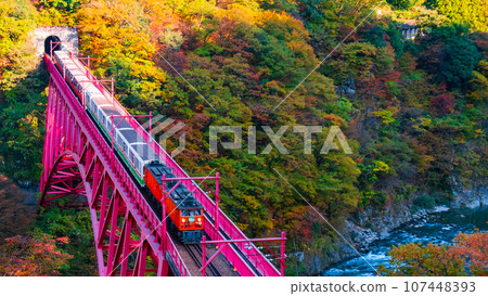 秋天的黑部峽谷:新山彥橋上行駛的小火車 秋天的黑部峽谷:新山彥橋上行駛的小火車 107448393