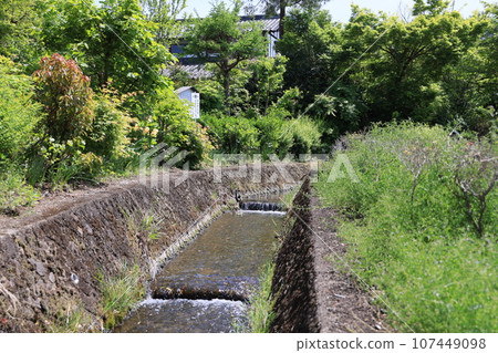 Ogawa Seir Ichiban Intake 107449098