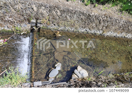 Ogawa Seir Ichiban Intake 107449099