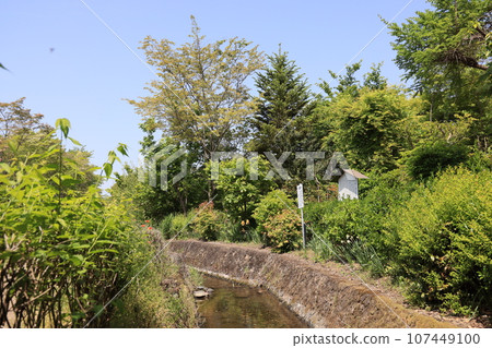 Ogawa Seir Ichiban Intake 107449100