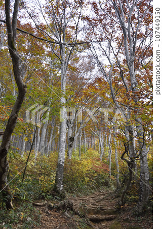 新潟縣牧木山登山 107449150